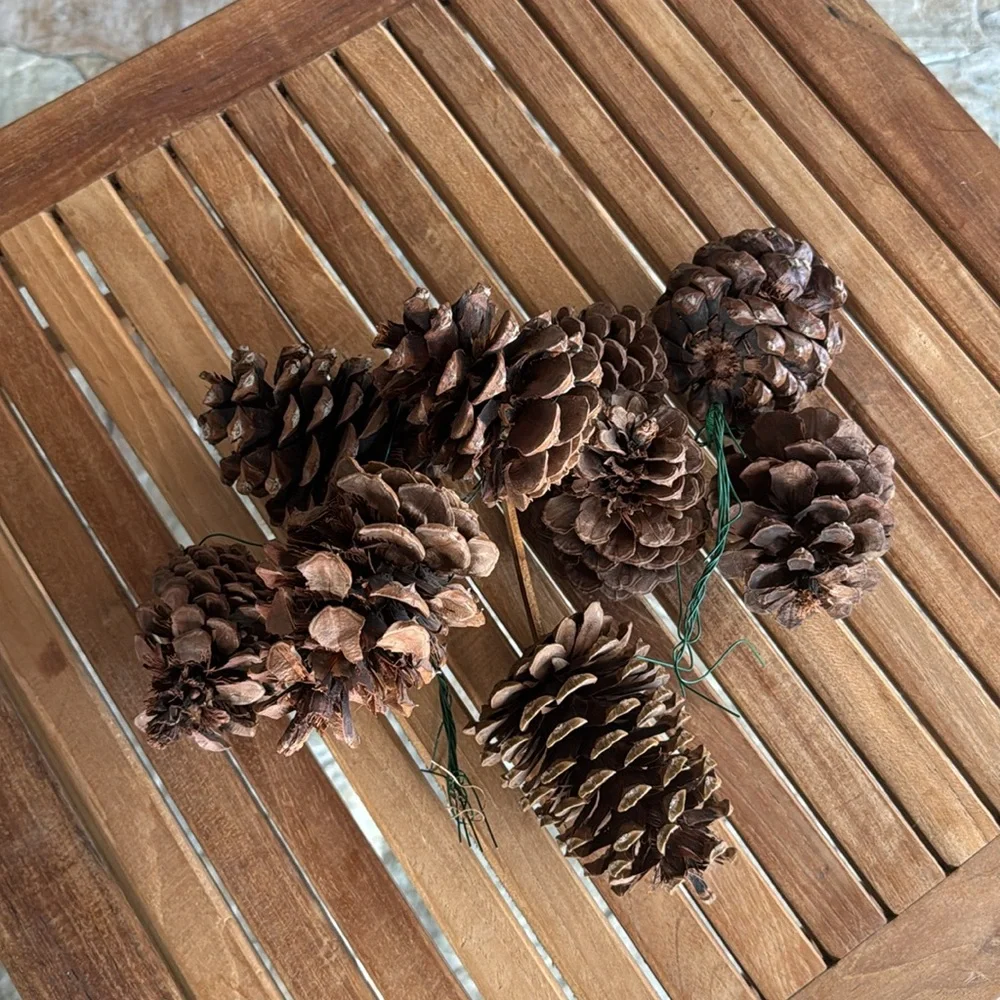 Bundle of Jingle Bell Garland, Holly Burlap Border & Pine Cones